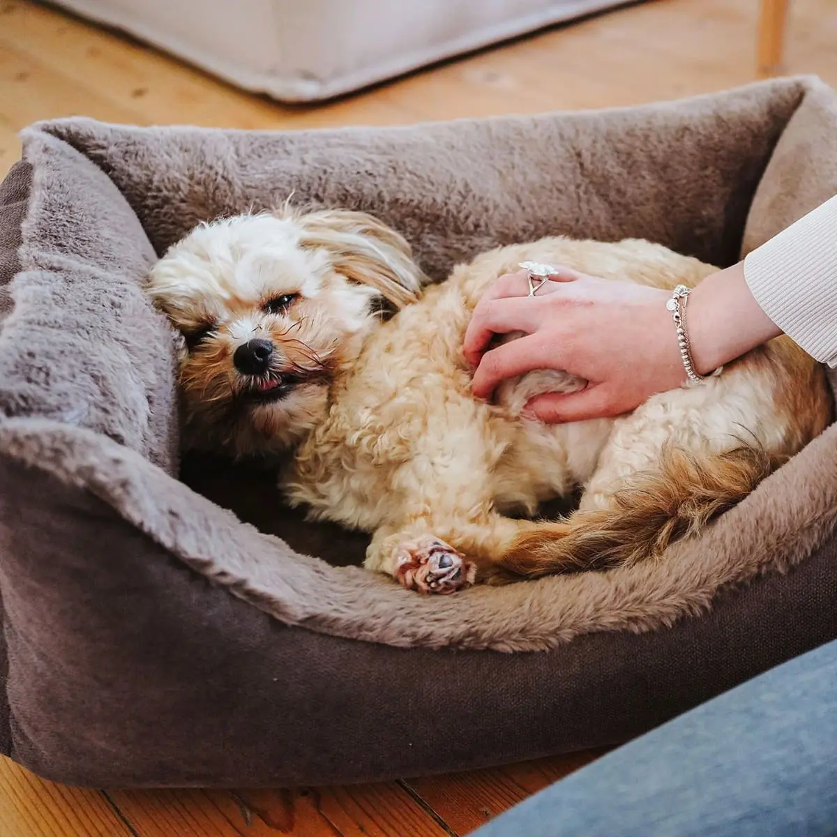 Hunter ortopædisk hundeseng Rockford XL 120 x 90 cm Brun